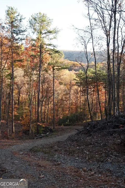 lot S 29ab Paradise Ln, Ellijay, GA 30540