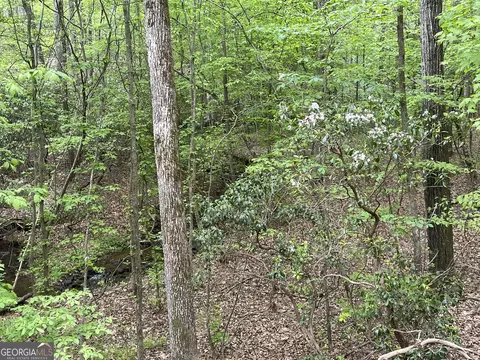 0 Everett Springs Rd, Armuchee, GA 30105 photo 3