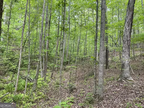 0 Everett Springs Rd, Armuchee, GA 30105 photo 9