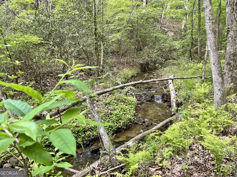0 Everett Springs Rd, Armuchee, GA 30105 photo 11