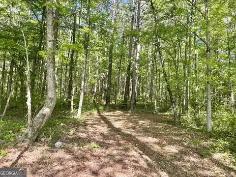 0 Everett Springs Rd, Armuchee, GA 30105 photo 16