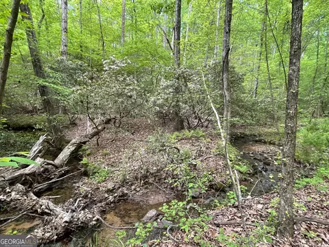 0 Everett Springs Rd, Armuchee, GA 30105 photo 7