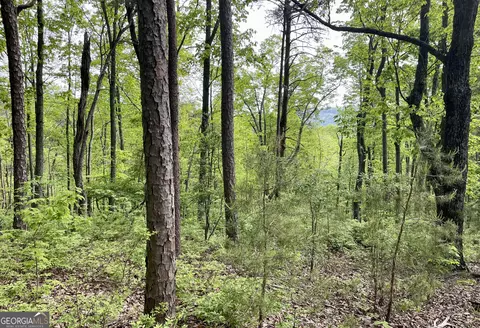0 Everett Springs Rd, Armuchee, GA 30105 photo 13