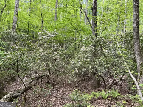 0 Everett Springs Rd, Armuchee, GA 30105 photo 8