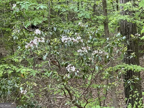 0 Everett Springs Rd, Armuchee, GA 30105 photo 2