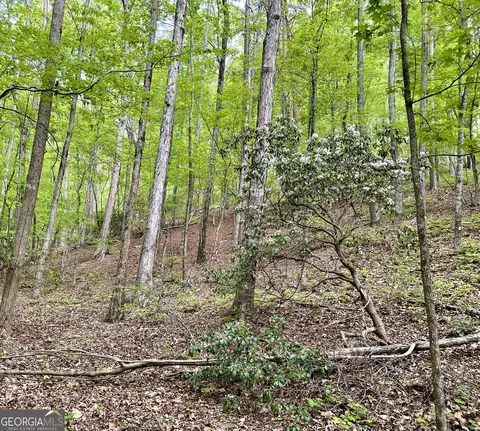 0 Everett Springs Rd, Armuchee, GA 30105 photo 12