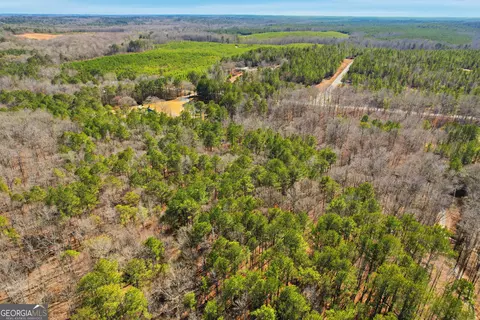 0 Pickett Bridge Rd, Covington, GA 30016 photo 22
