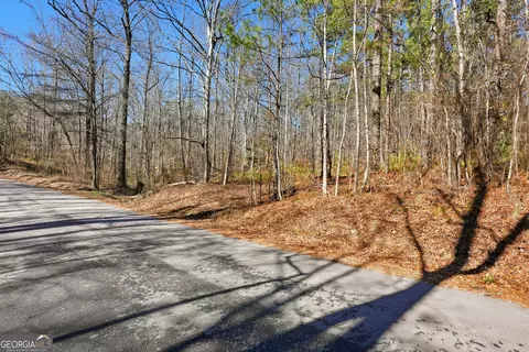 0 Pickett Bridge Rd, Covington, GA 30016 photo 5