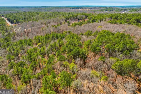 0 Pickett Bridge Rd, Covington, GA 30016 photo 14