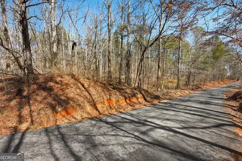 0 Pickett Bridge Rd, Covington, GA 30016 photo 4