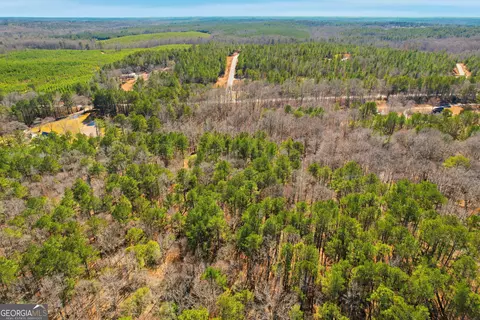 0 Pickett Bridge Rd, Covington, GA 30016 photo 12