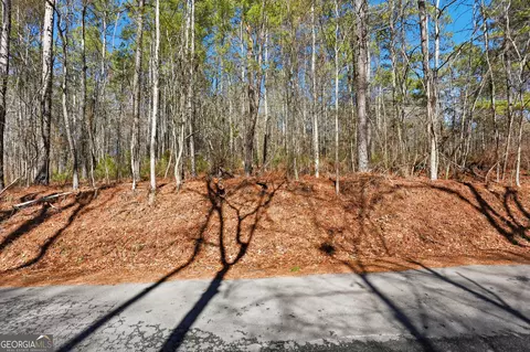 0 Pickett Bridge Rd, Covington, GA 30016 photo 6