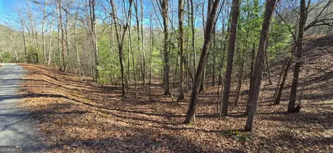 lot12 Oak Loop #12, Mineral Bluff, GA 30559