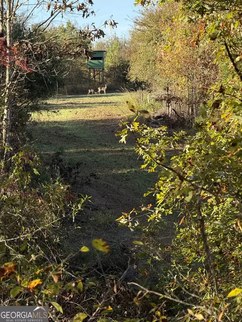 0 Thaxton Rd, Rayle, GA 30660 photo 16