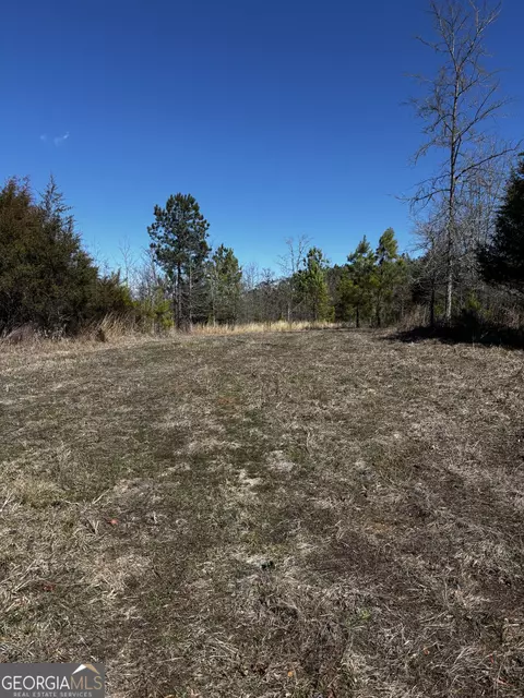 0 Thaxton Rd, Rayle, GA 30660 photo 5