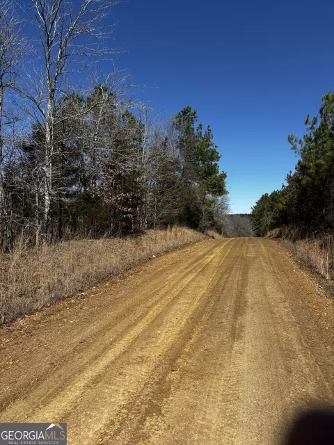 0 Thaxton Rd, Rayle, GA 30660 photo 3