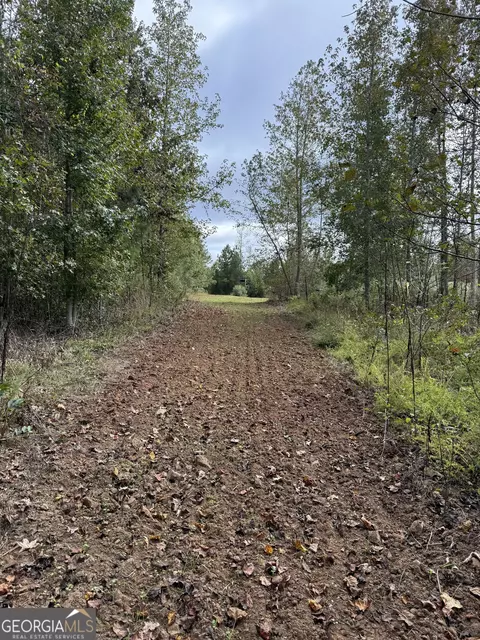 0 Thaxton Rd, Rayle, GA 30660 photo 18