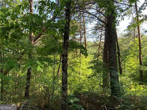 1335 Birch Ln, Ranger, GA 30734