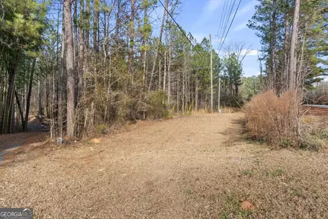 0 Chestnut Rd, Covington, GA 30016 photo 3