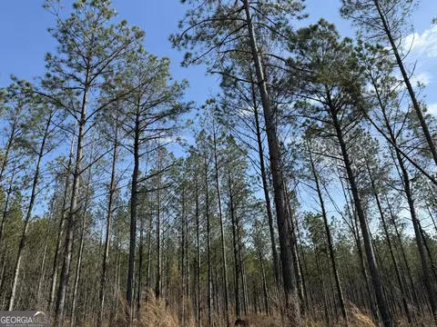 001 Allen Rd, Musella, GA 31066