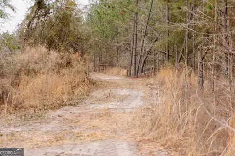 0 Bunn Store Rd #TRACT 1, Midville, GA 30441