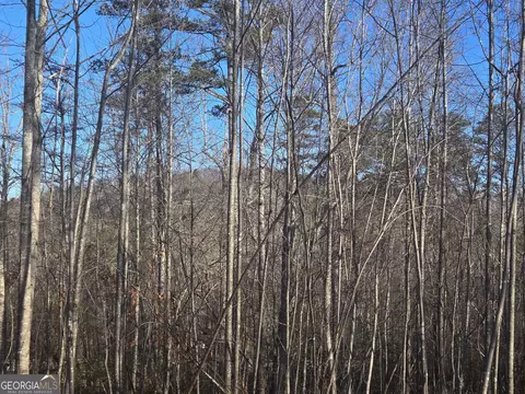 Other - 256 Canyon Point Dr, Demorest, GA 30535 photo 11 of 11