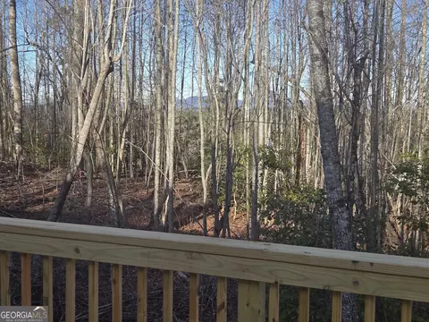 Exterior - 256 Canyon Point Dr, Demorest, GA 30535 photo 5 of 7