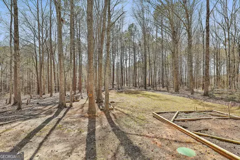 Exterior - 1209 N Hampton Dr, Hampton, GA 30228 photo 8 of 14