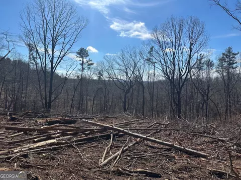 600 Chapman Ridge Ln, Dahlonega, GA 30533