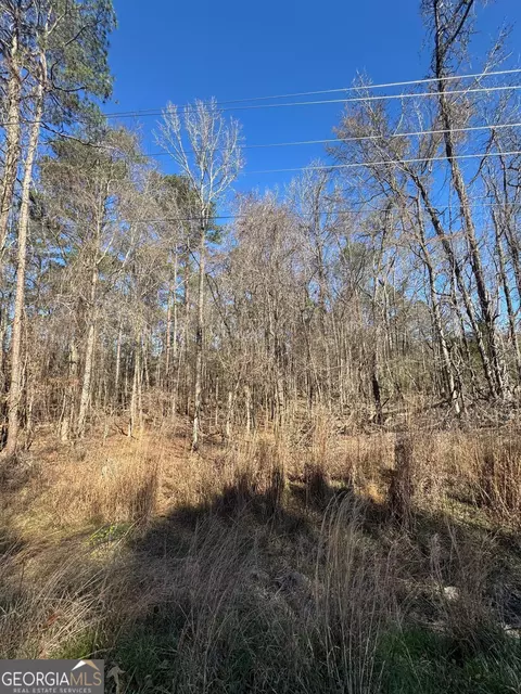 0 County Line Rd, Upatoi, GA 31829