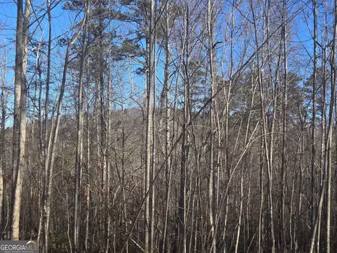 2994 Cannon Bridge Rd, Demorest, GA 30535 photo 34