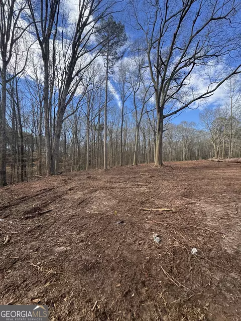 231 Roosevelt Cir, Bowman, GA 30624