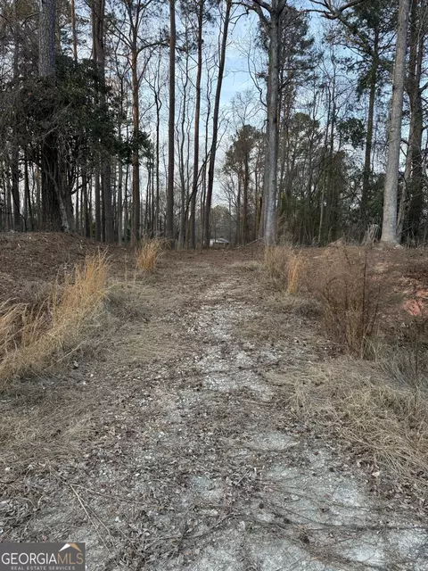 129 Wooten West St, Tignall, GA 30668