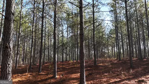 0 Gaylor Rd, Lyerly, GA 30730 photo 2