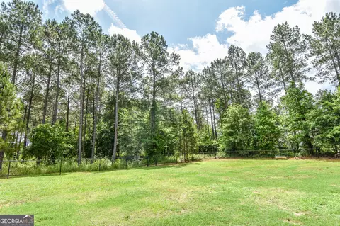 Exterior - 111 Needleleaf Ct, Barnesville, GA 30204 photo 22 of 24