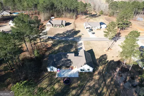 View/Area - 111 Needleleaf Ct, Barnesville, GA 30204 photo 4 of 6