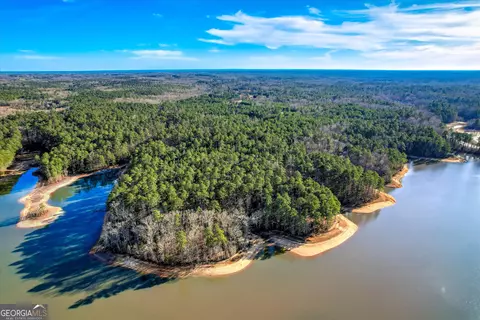 1138 Ben Ln, Lincolnton, GA 30817