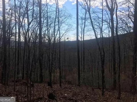 0 Shadow Mtn, Dillard, GA 30537