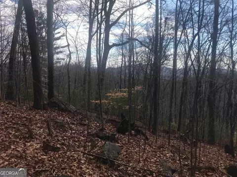 0 Shadow Mtn, Dillard, GA 30537 photo 4