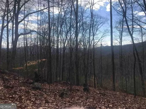 0 Shadow Mtn, Dillard, GA 30537 photo 5