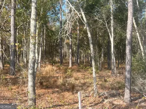 9 59 Ac Jarriels Bridge Spur Rd, Collins, GA 30421