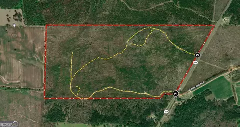 130 518 Ac Ronnie Rd, Buena Vista, GA 31803