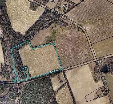 41 87 Acres Pulaski Rd, Statesboro, GA 30458