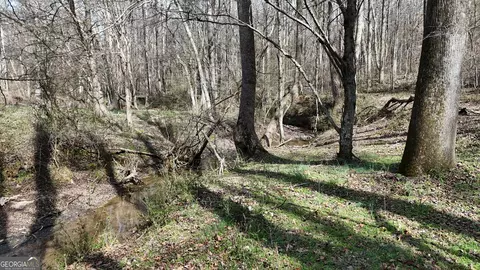 10 Colt Ln, Commerce, GA 30530 photo 14