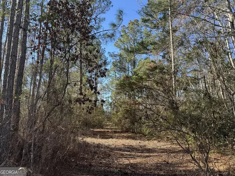 0 Robin Ln, Nahunta, GA 31553 photo 3