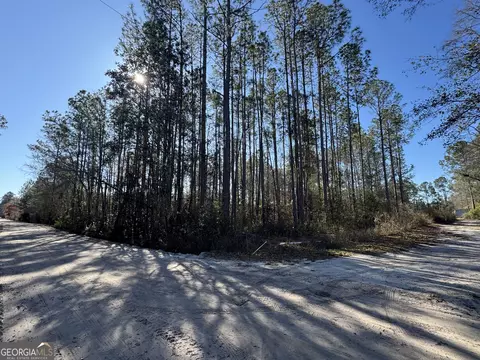 0 Robin Ln, Nahunta, GA 31553 photo 2