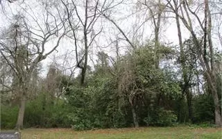 3297 Stinsonville Rd, Macon, GA 31204
