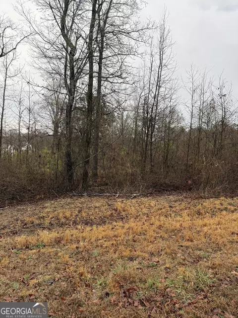 874 Forrester Cemetery Rd, Covington, GA 30014