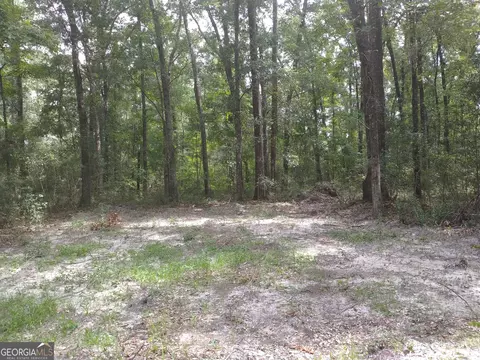 1046 Harmony Hill Ln NE, Townsend, GA 31331