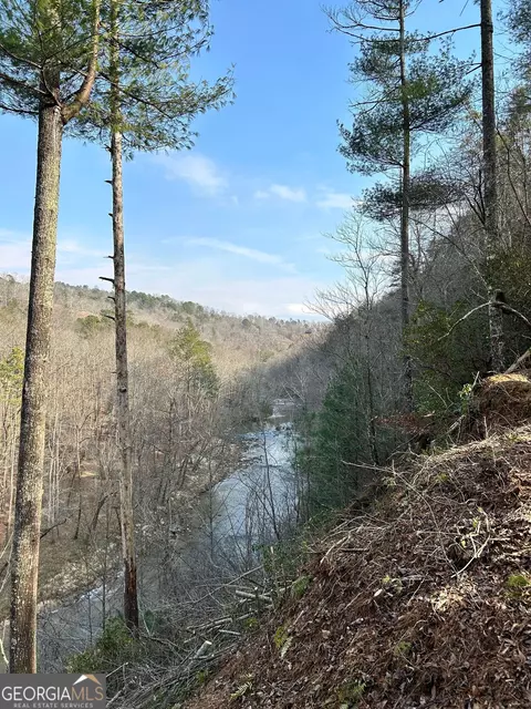 436 Meadow Ln, Talking Rock, GA 30175